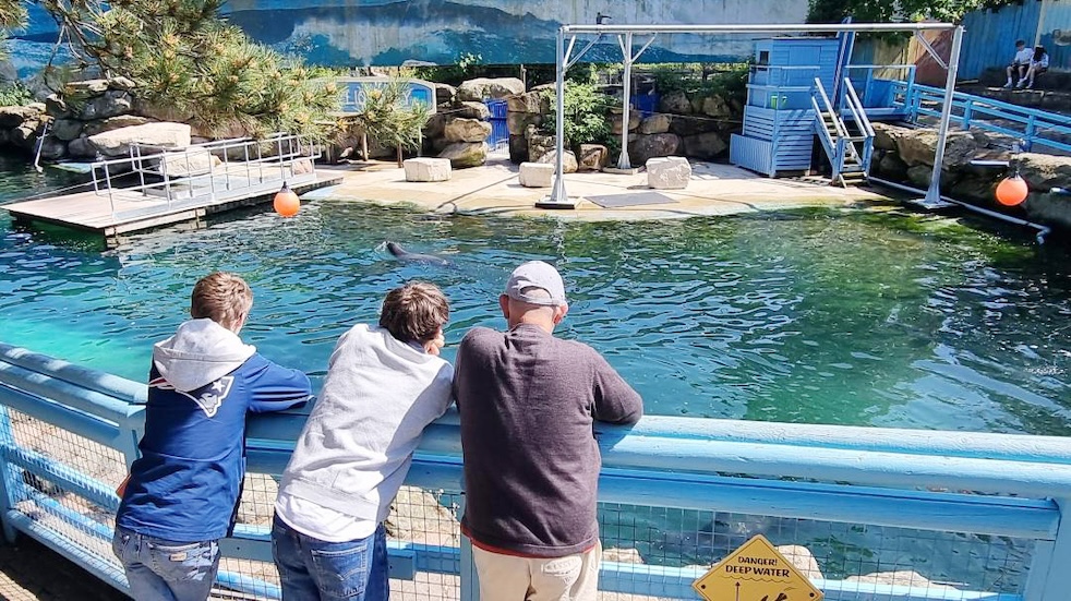 Adrian's family looking out at the seals at Chessington World of Adventures